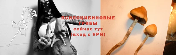 2c-b Лихославль