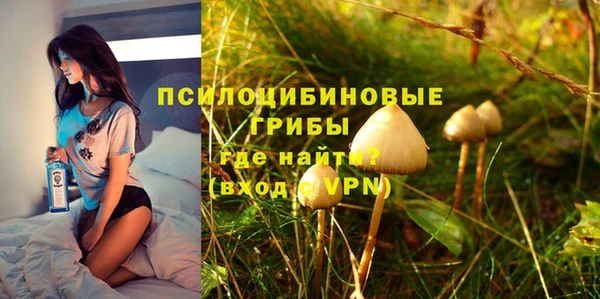 прущие грибы Лиски