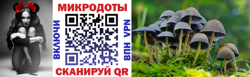 Галлюциногенные грибы Psilocybe  Невинномысск 